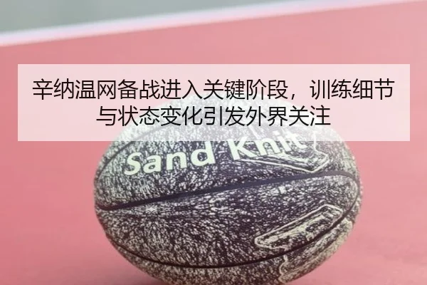 辛纳温网备战进入关键阶段，训练细节与状态变化引发外界关注